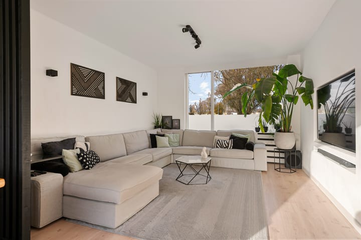 Foto 2 van Graan voor Visch 17408