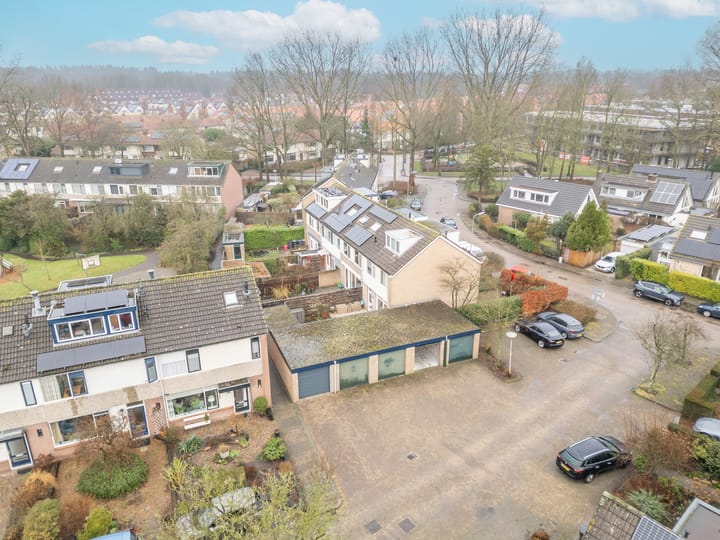 Photo 14 of Pinksterbloemhof