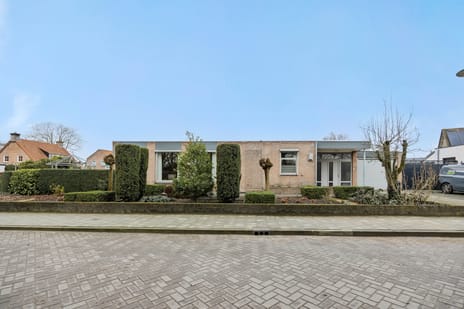 undefined main image