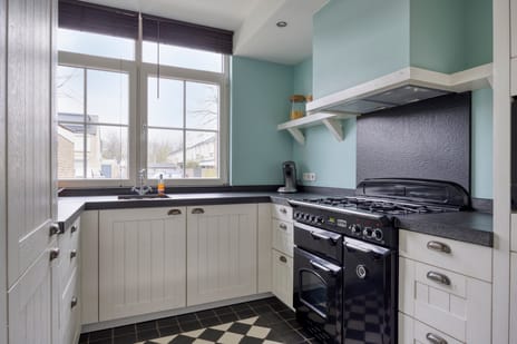 Goudplevier 151 secondary image