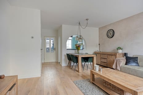 Goudplevier 151 tertiary image