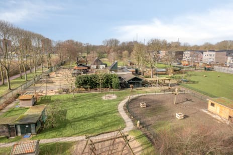 Othelloweg 295 tertiary image