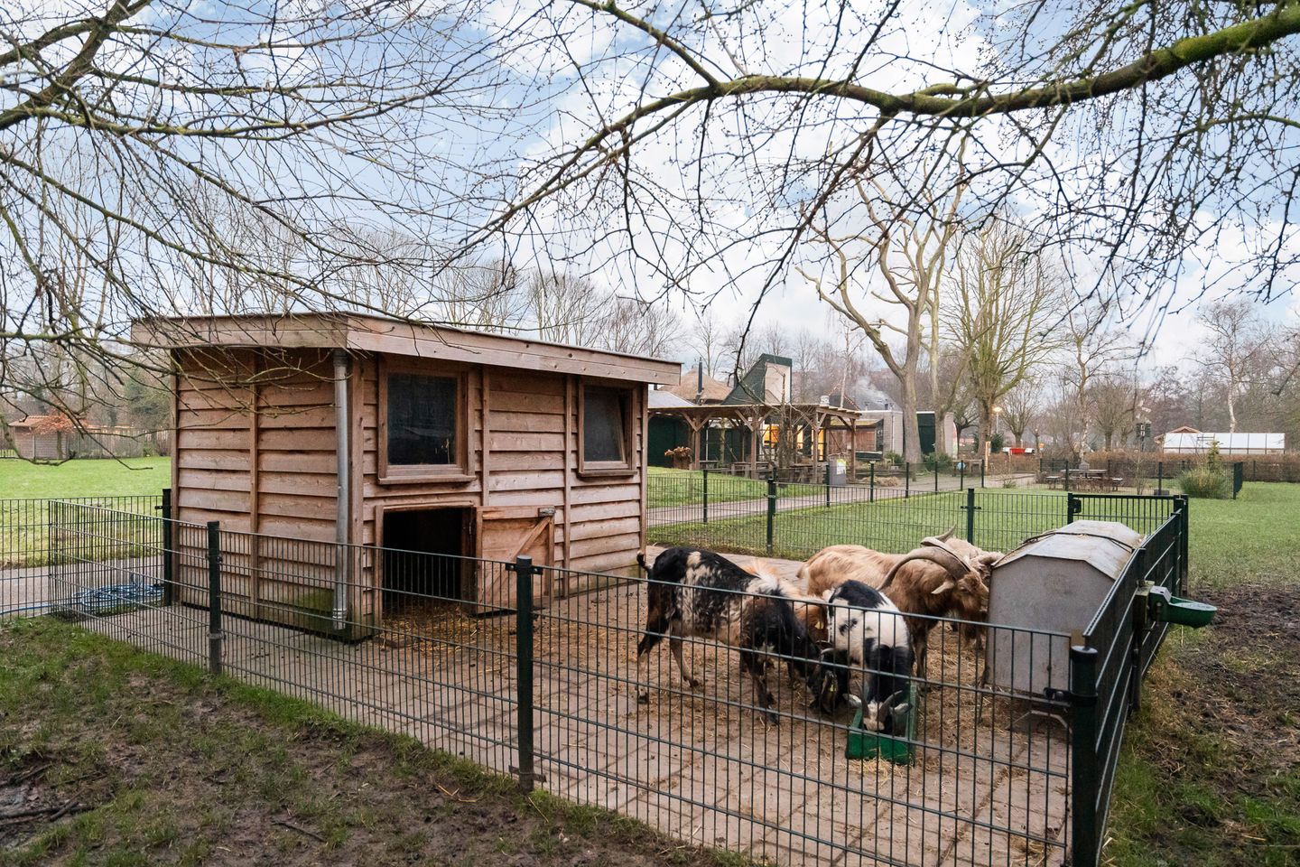 Foto 25 van Othelloweg 295