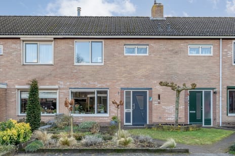 undefined main image