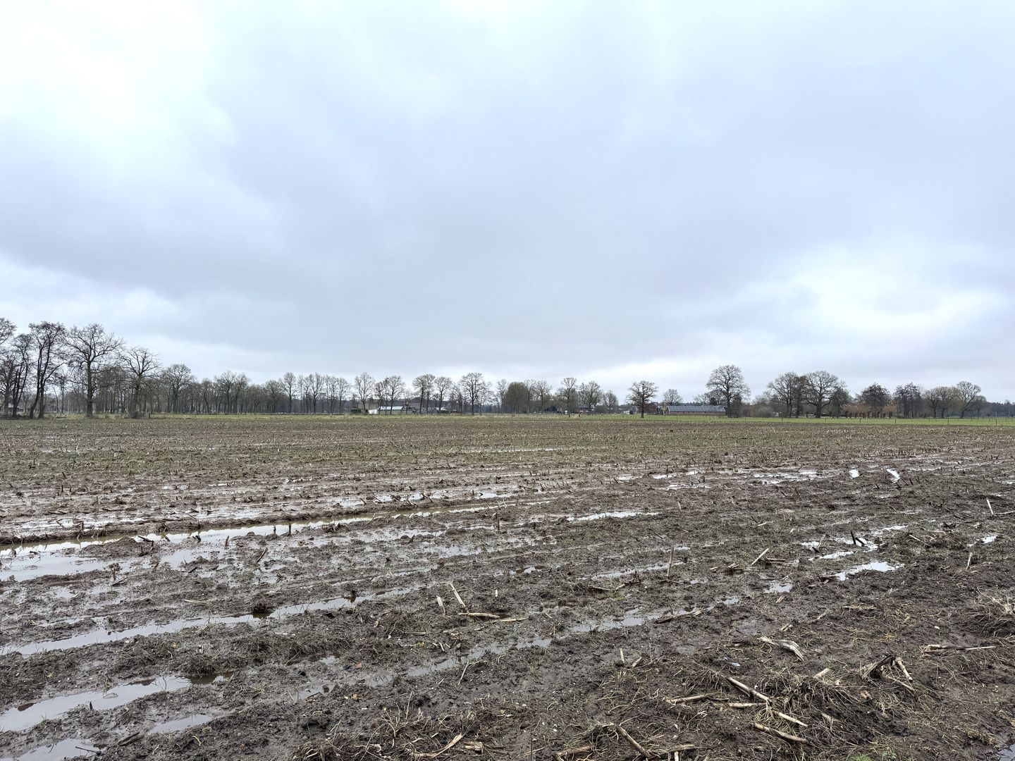 Lange Heideweg - Otterlo - Afbeelding 7