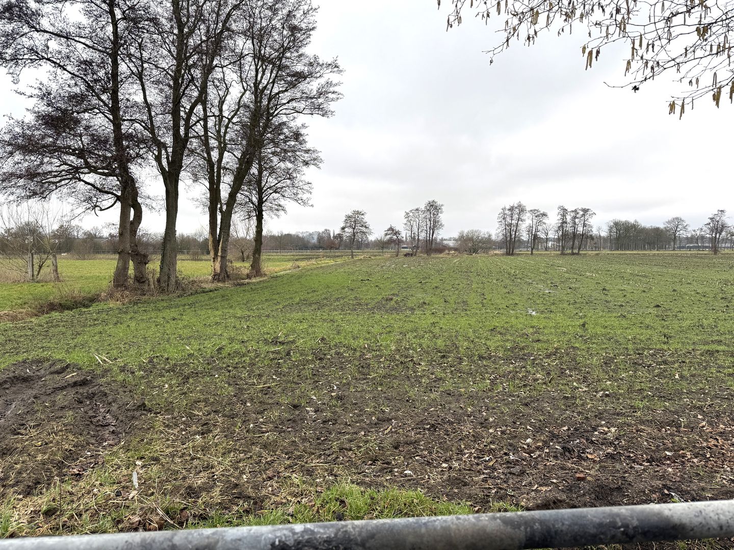 Bekijk foto 5 van Lange Heideweg