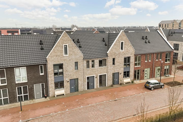 Foto 49 van Liefkenshoek 21