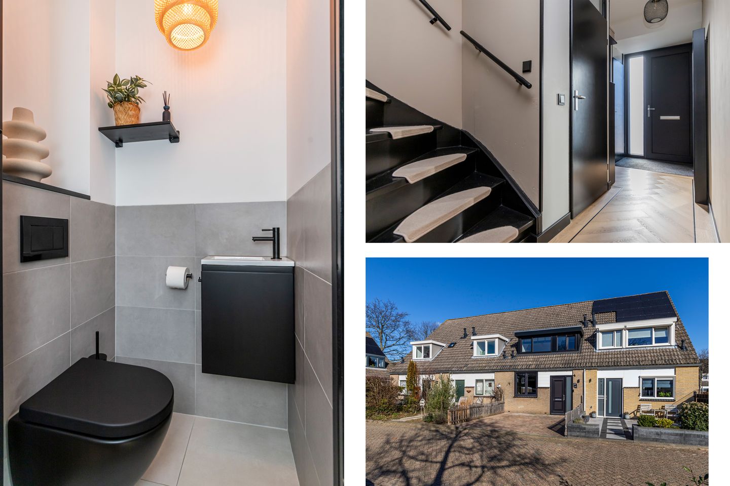 Photo 29 of Frisolaan 29