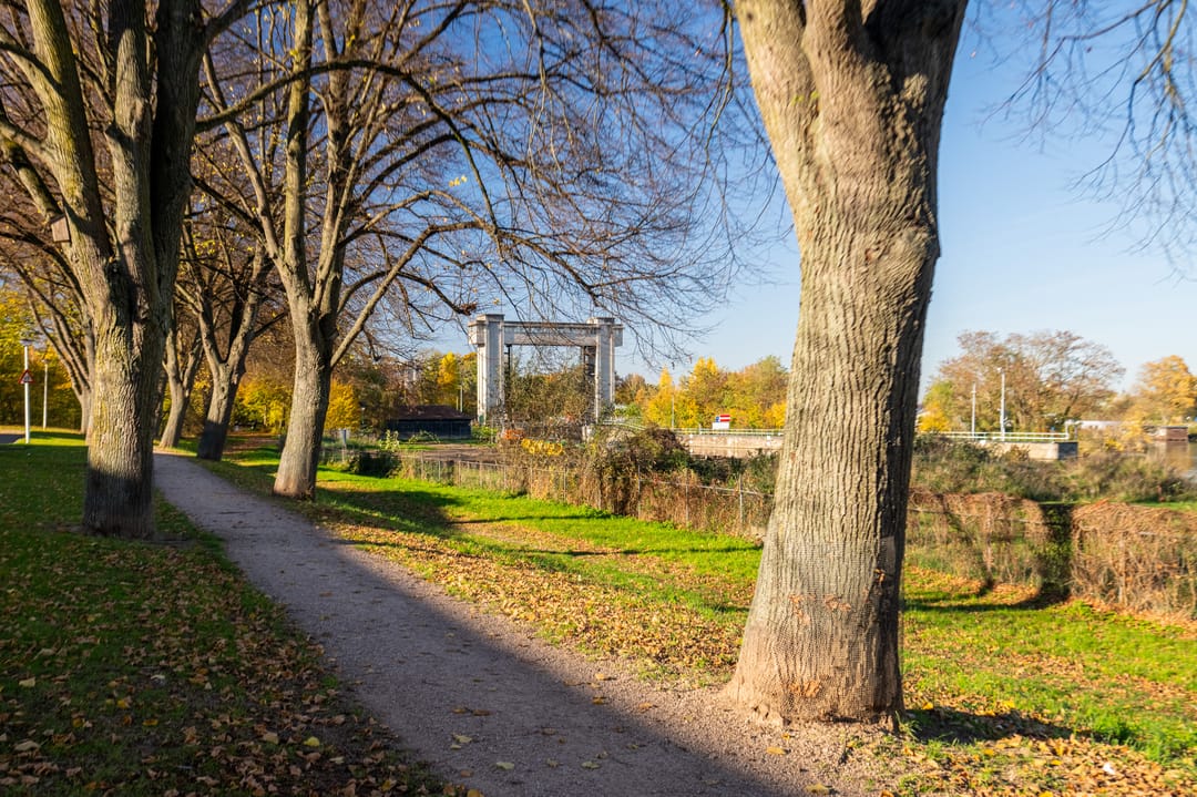 Foto 22 van Jachthoornstraat 33