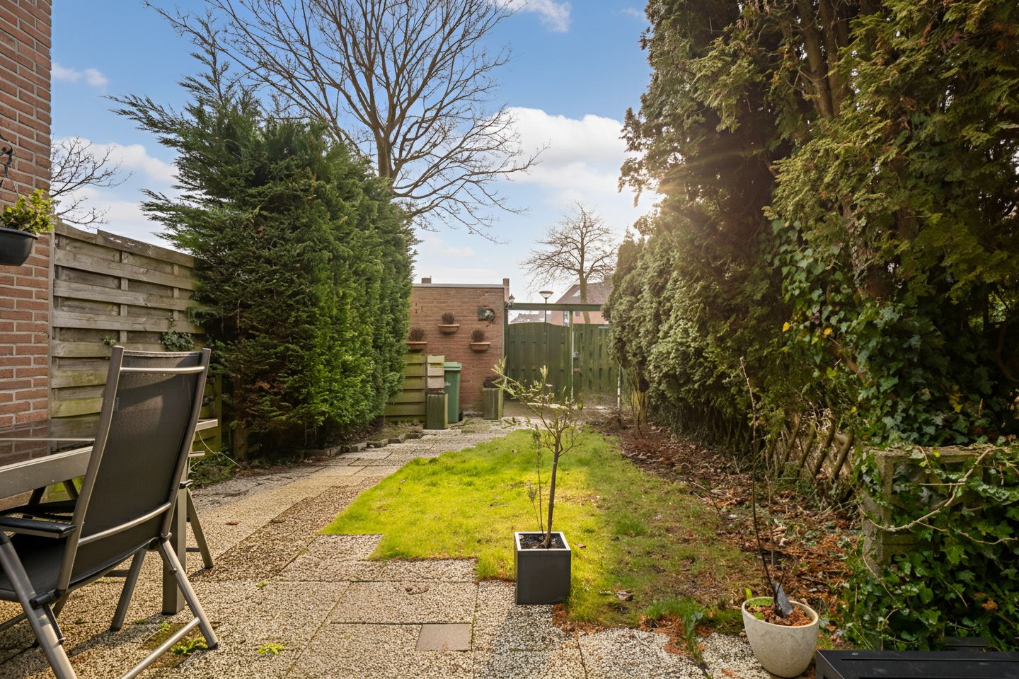 Foto 20 van Koolmees 28