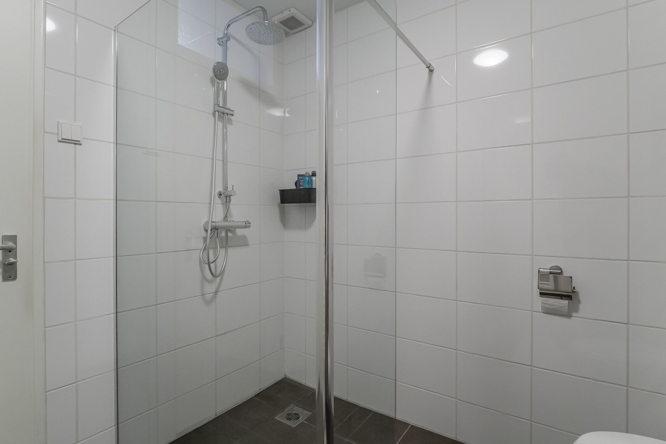 Foto 27 van Koolmees 28