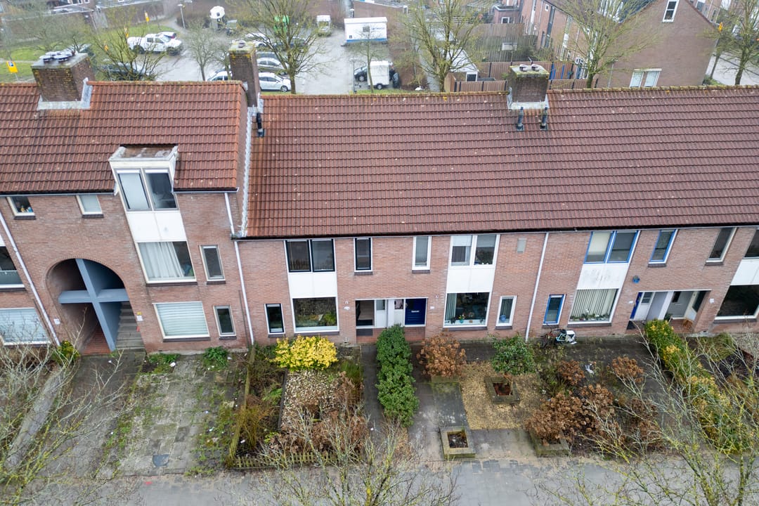 Foto 38 van Koolmees 28