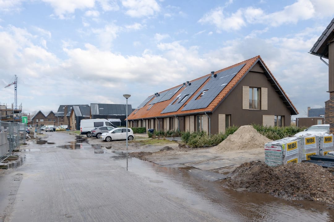 Foto 7 van Vingerhoedskruid 52