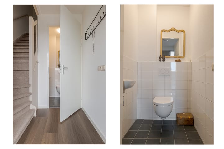 Photo 34 of Vingerhoedskruid 52