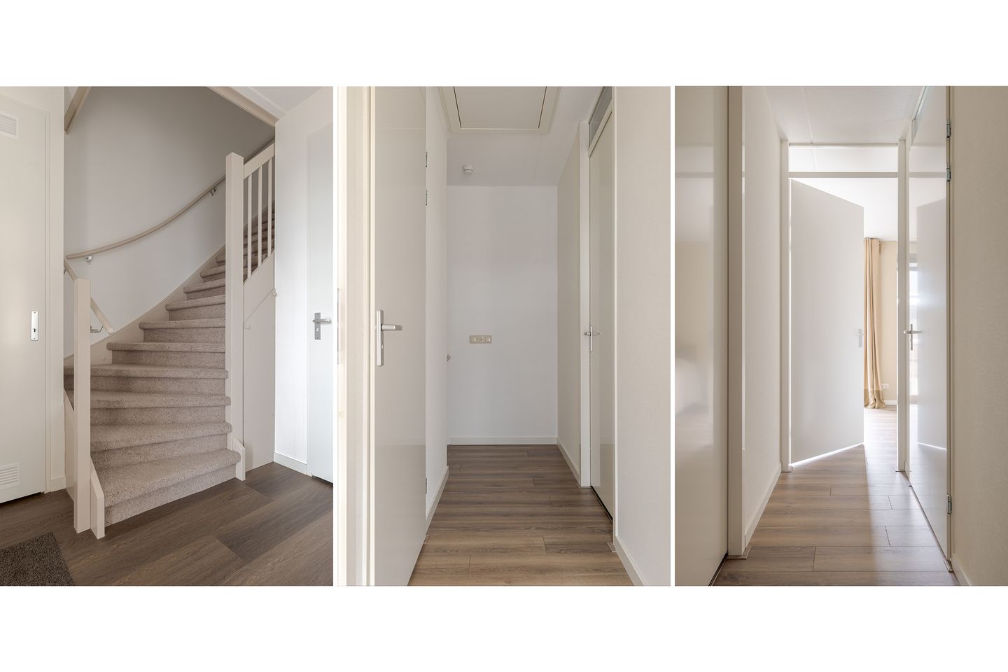 Foto 35 van Vingerhoedskruid 52