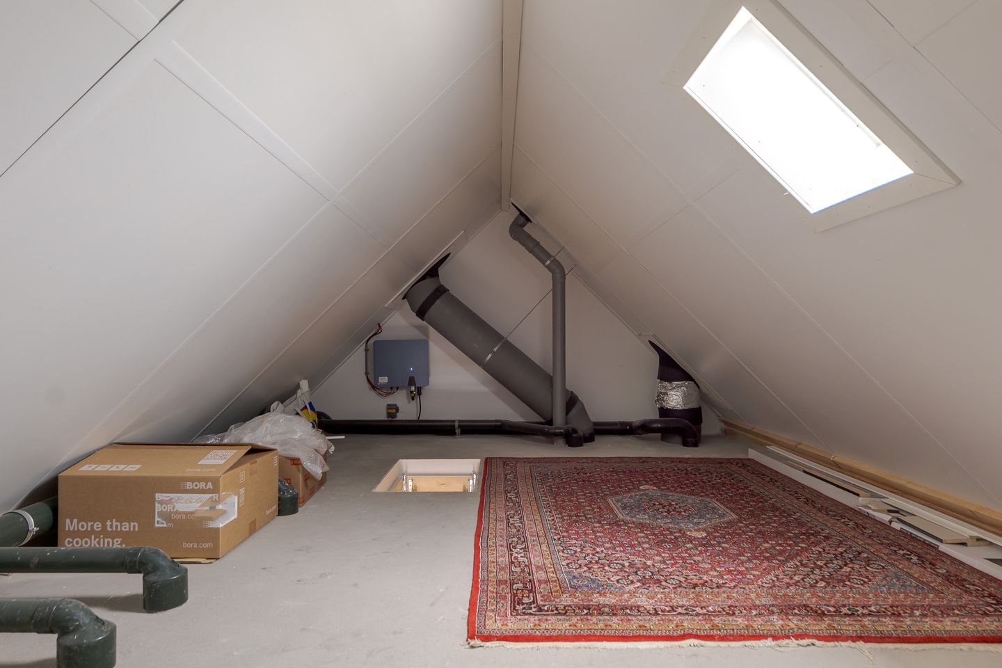 Foto 44 van Vingerhoedskruid 52