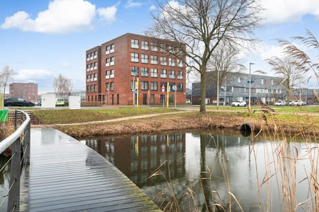 undefined main image