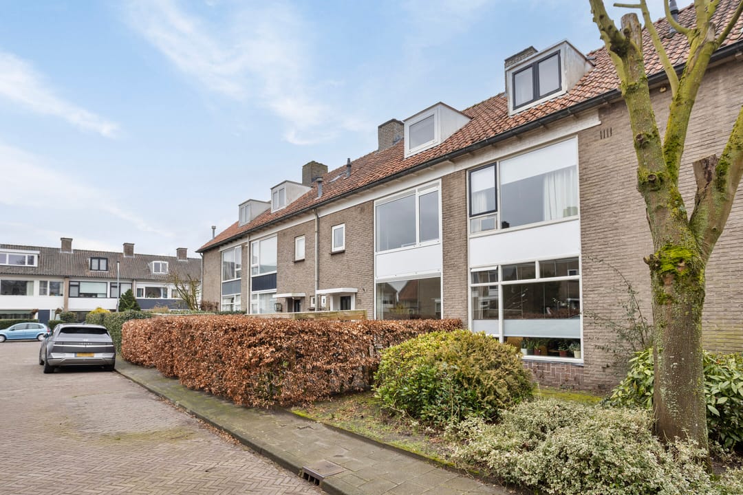 Photo 2 of Jacob Catssingel 50