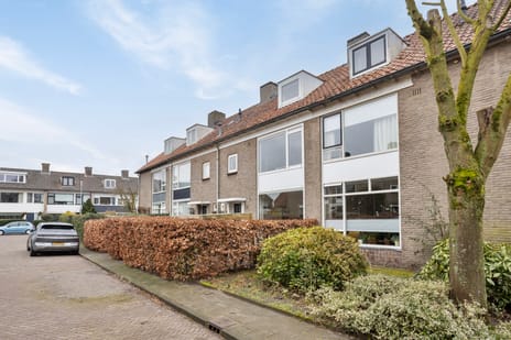 Jacob Catssingel 50 secondary image