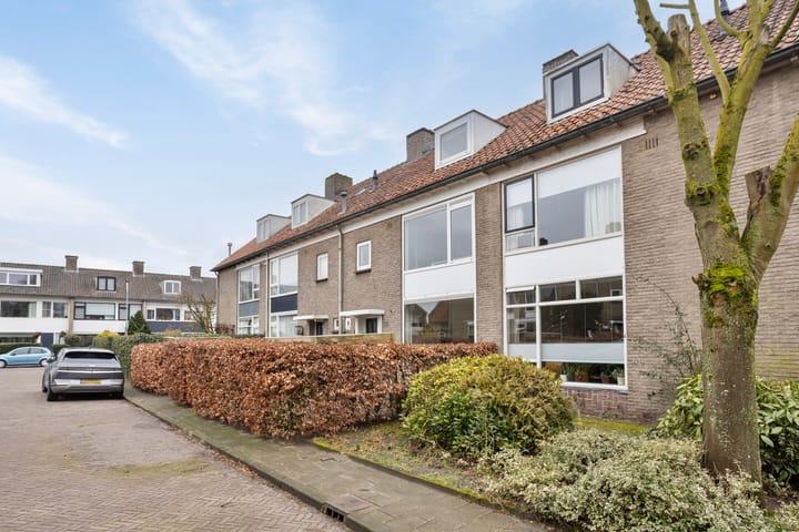 Foto 2 van Jacob Catssingel 50