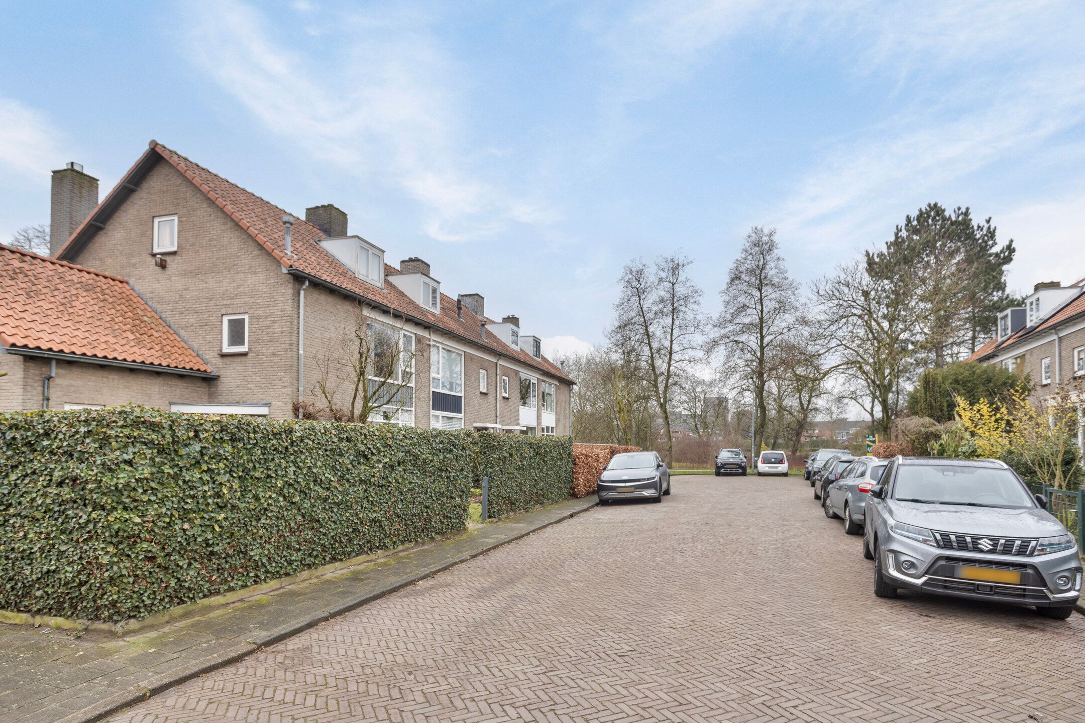 Photo 3 of Jacob Catssingel 50