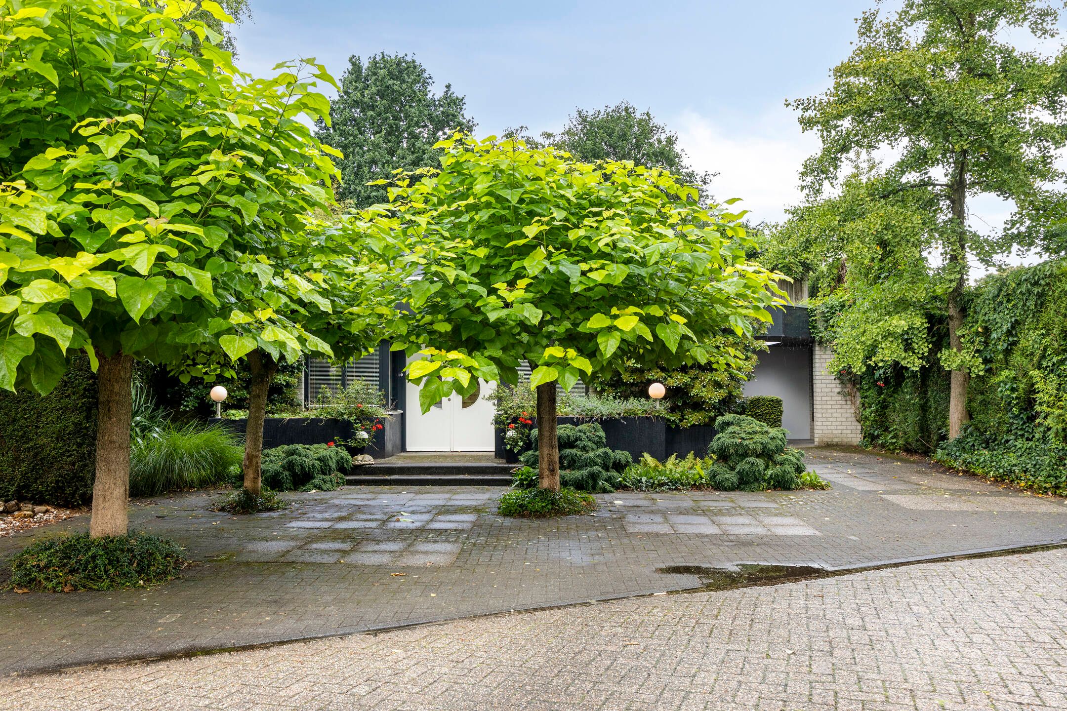 Foto 42 van Hermelijnedreef 3