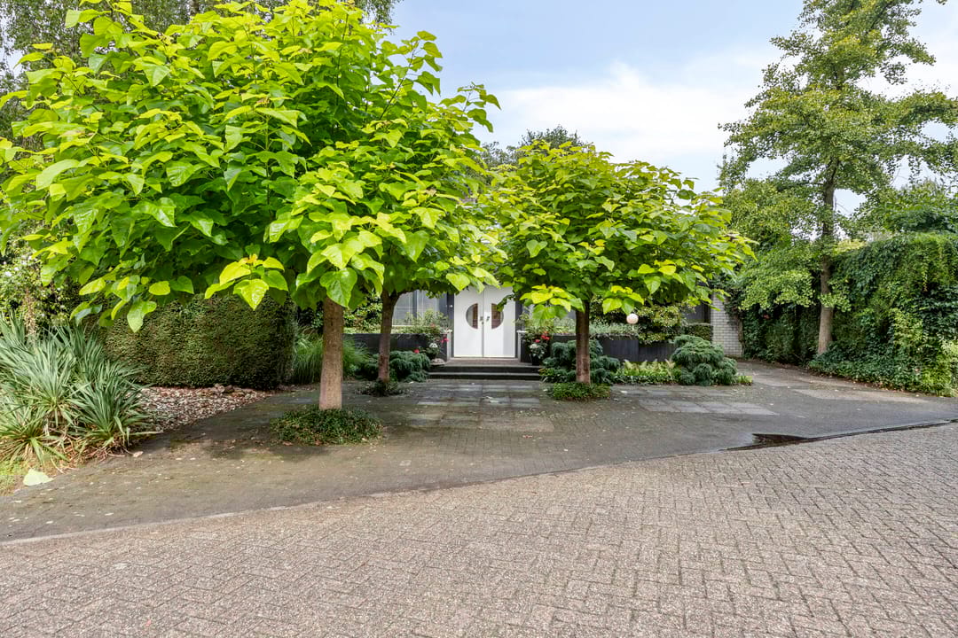 Foto 43 van Hermelijnedreef 3