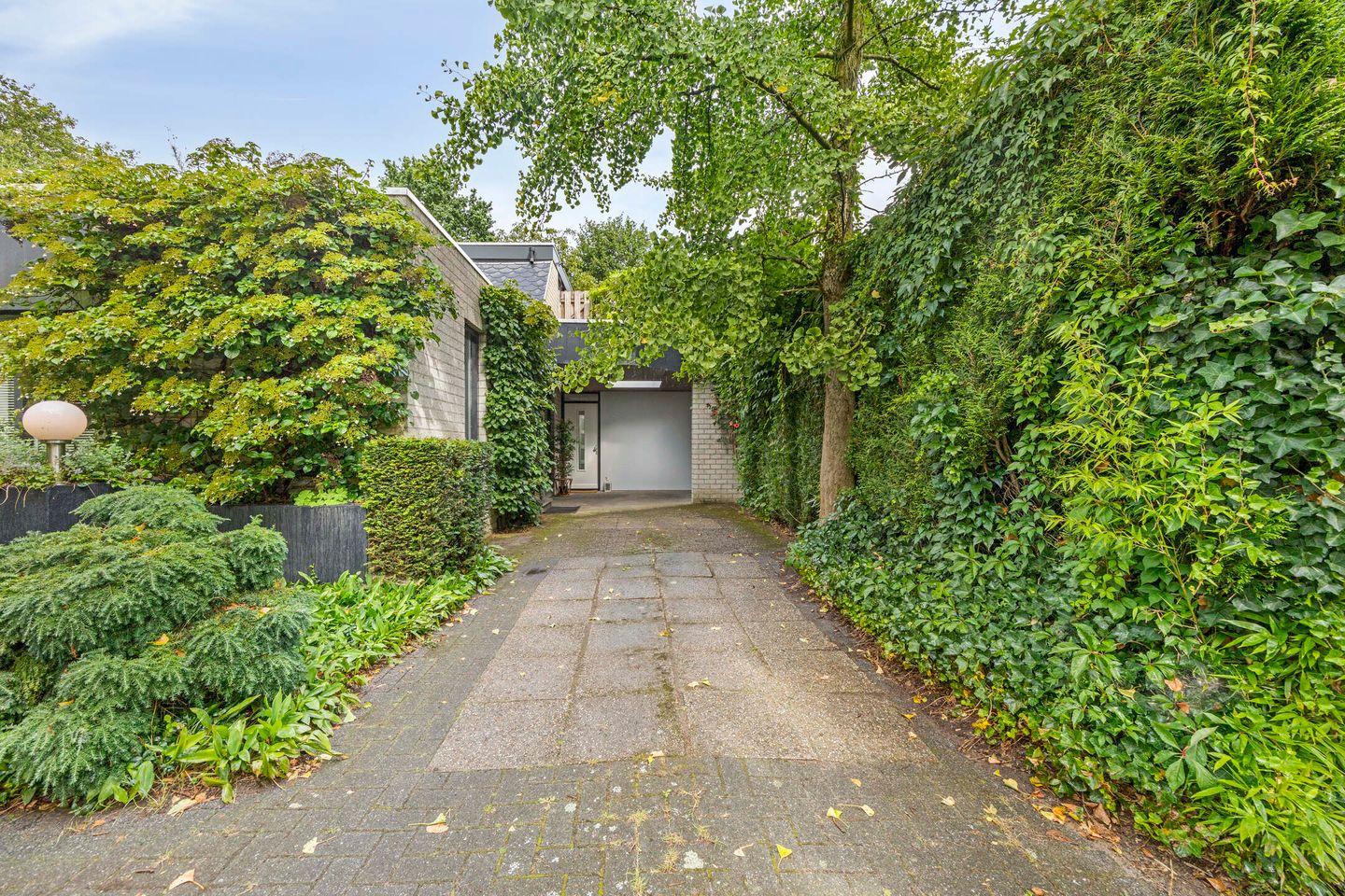 Foto 44 van Hermelijnedreef 3