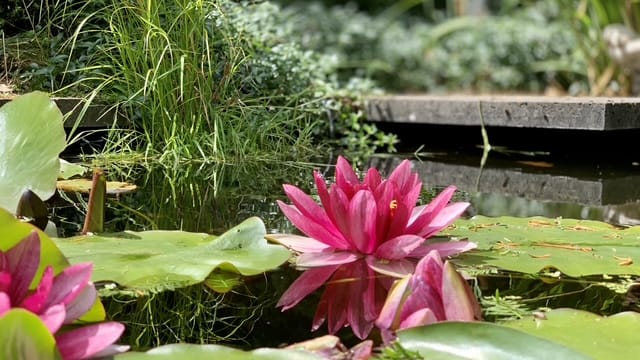 Foto 53 van Hermelijnedreef 3