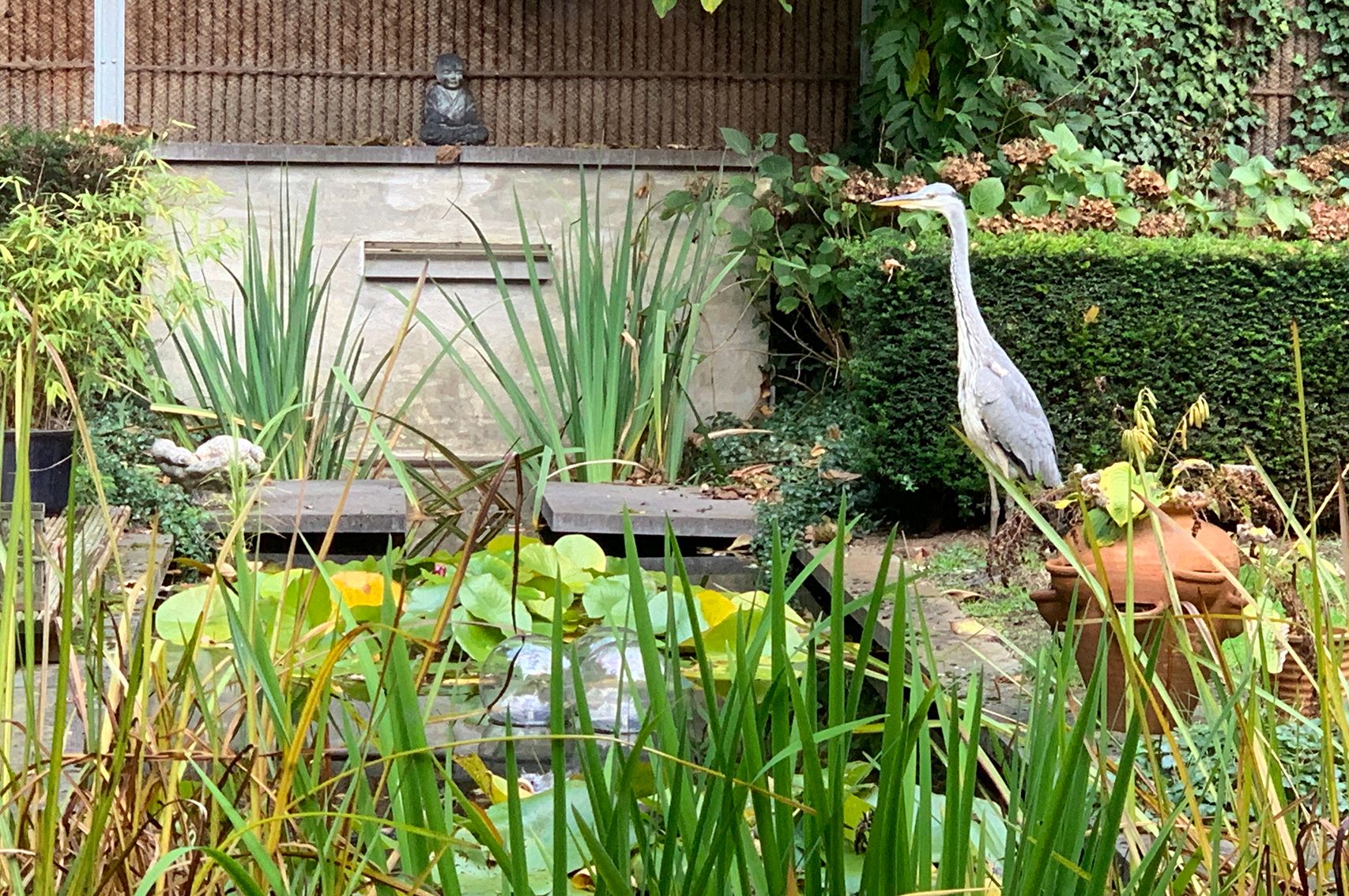 Foto 54 van Hermelijnedreef 3