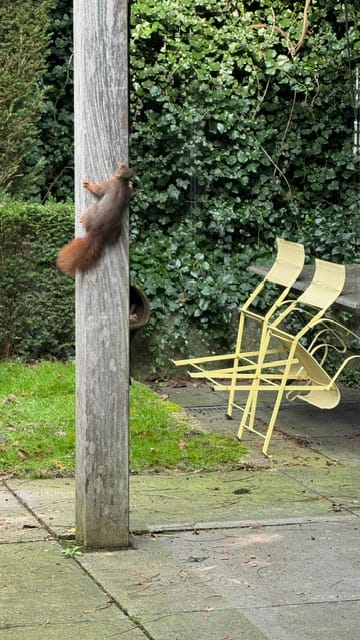 Foto 60 van Hermelijnedreef 3