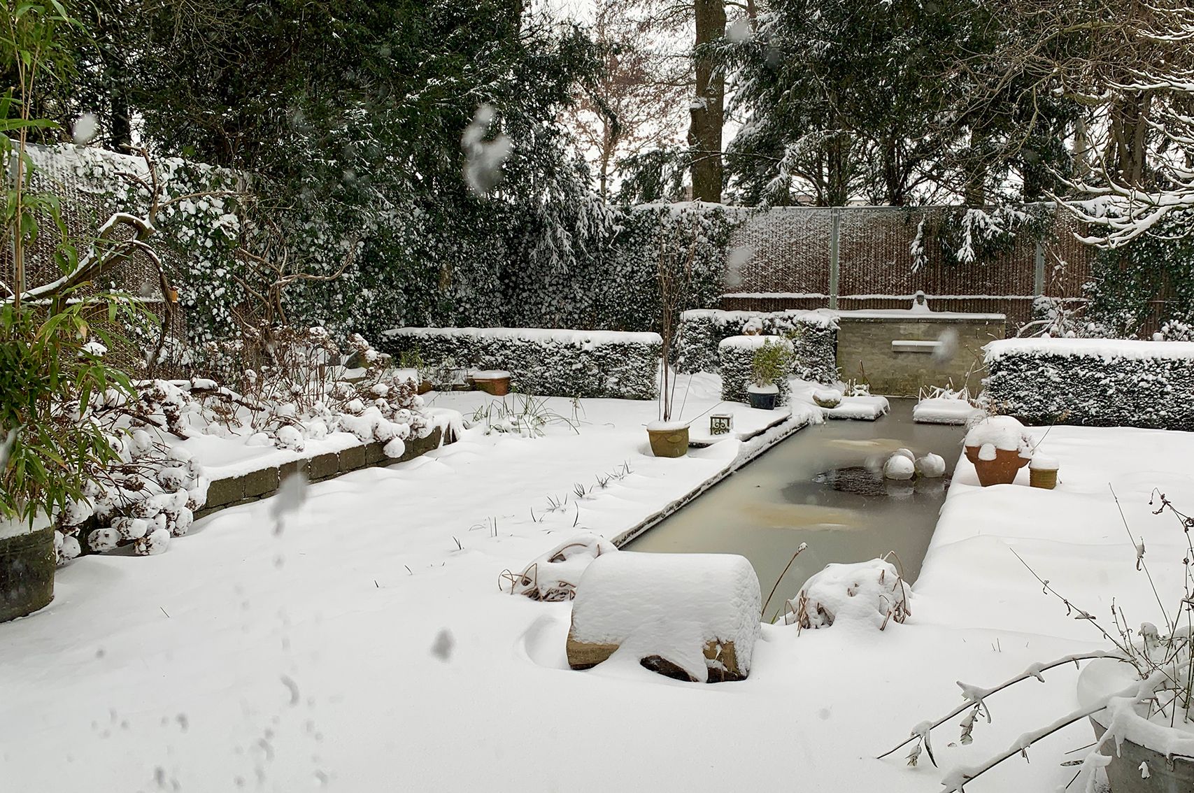 Foto 63 van Hermelijnedreef 3