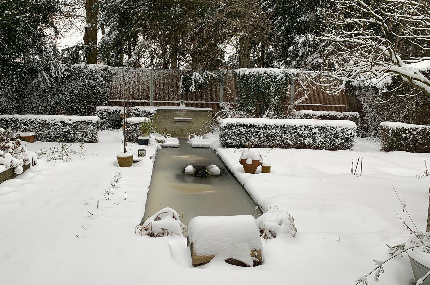 Foto 64 van Hermelijnedreef 3