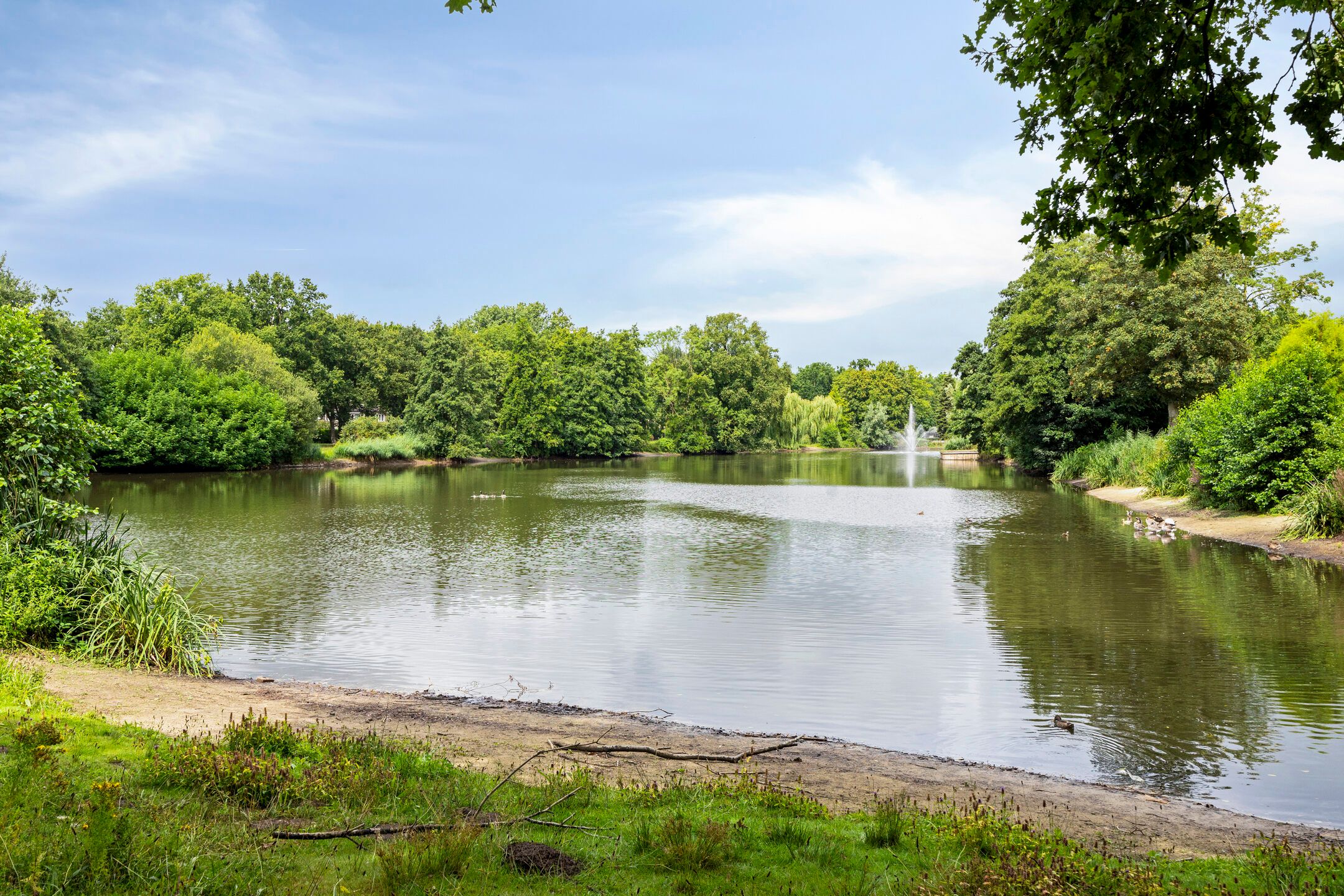 Foto 66 van Hermelijnedreef 3