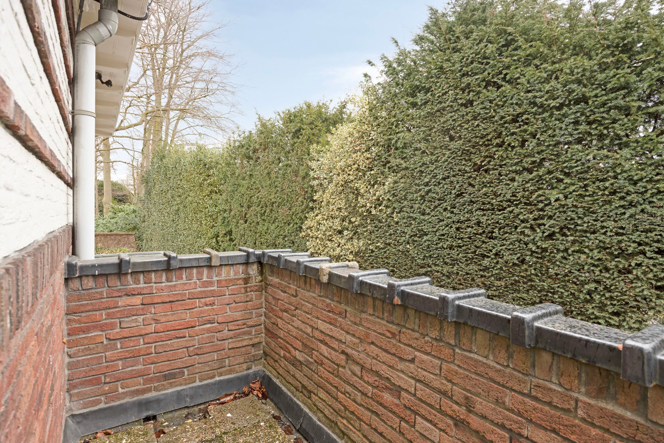 Photo 42 of Dorpsstraat 101