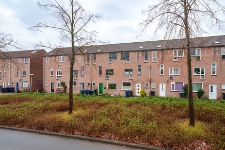 undefined main image