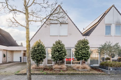 undefined main image