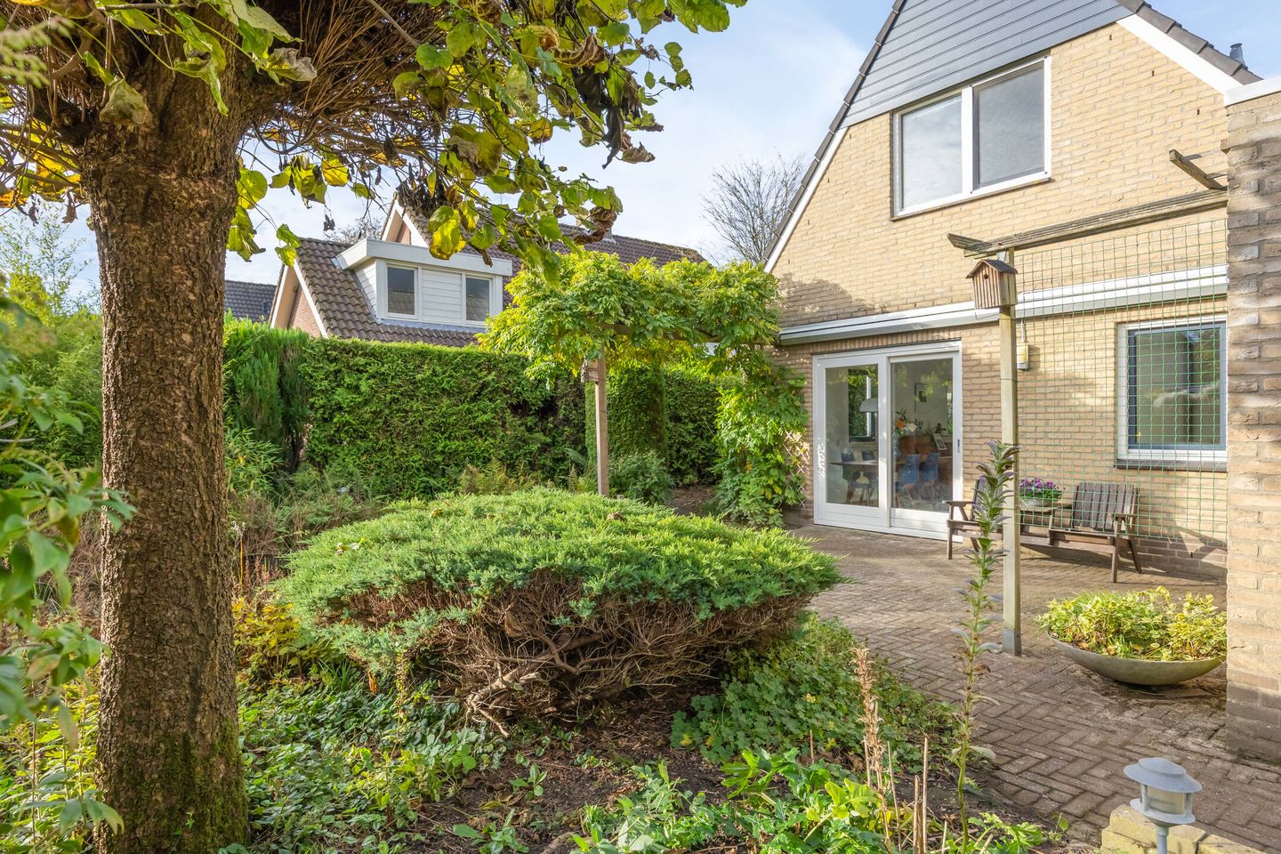 Foto 29 van Zesakkers 2137