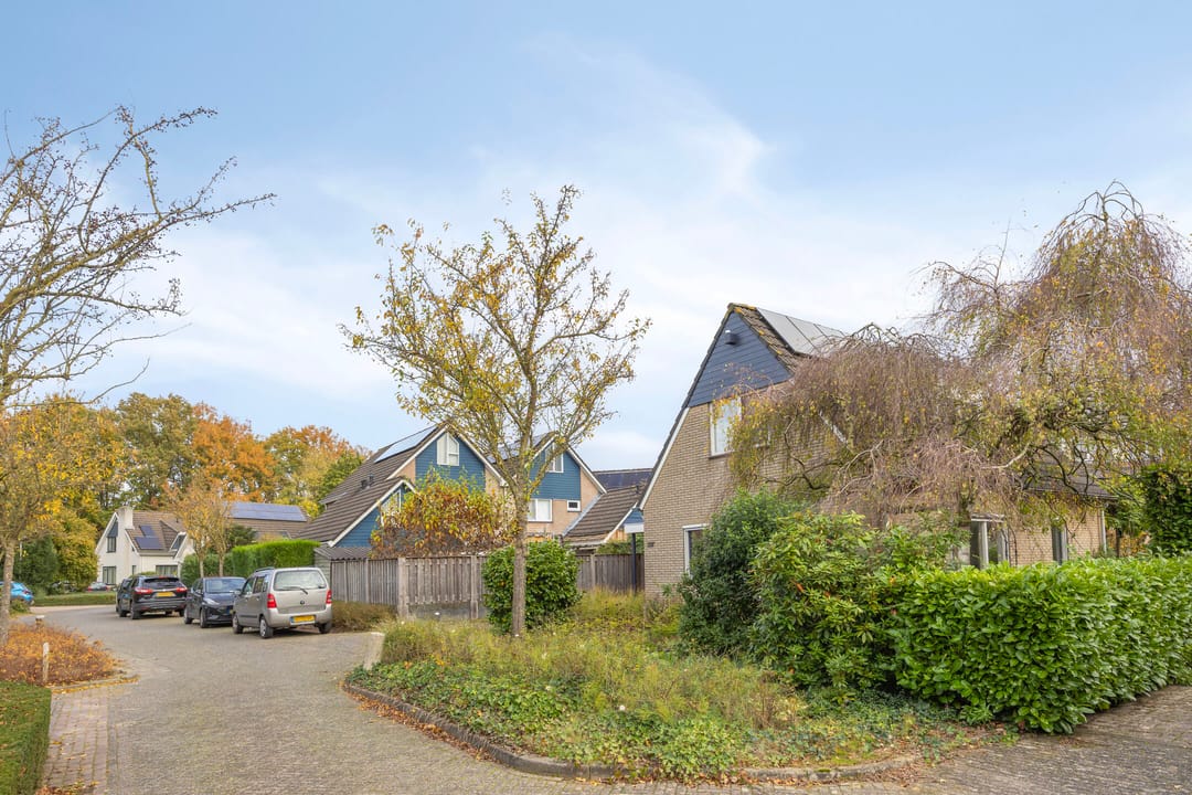 Foto 38 van Zesakkers 2137