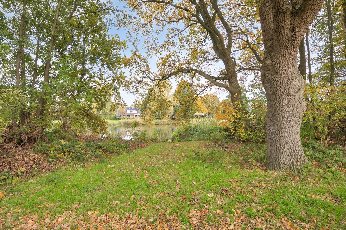 Foto 40 van Zesakkers 2137