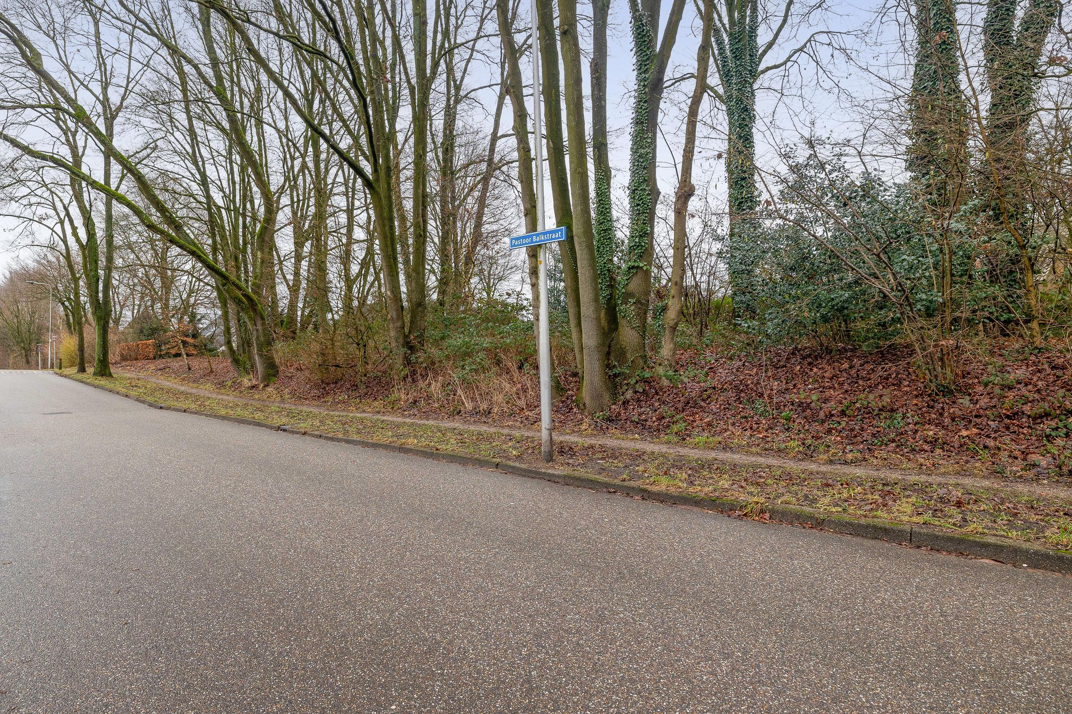 Photo 42 of Pastoor Balkstraat 49