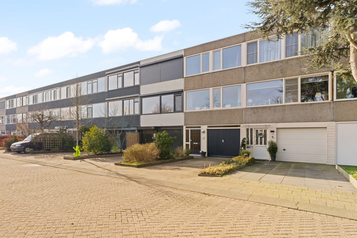 Akkerdistel 13 main image