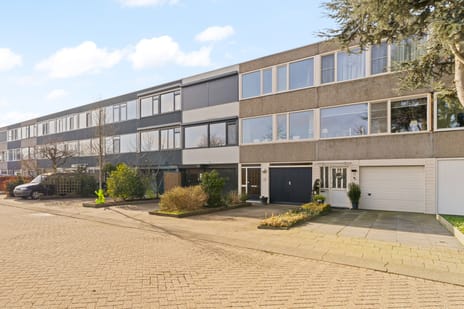 Akkerdistel thumbnail