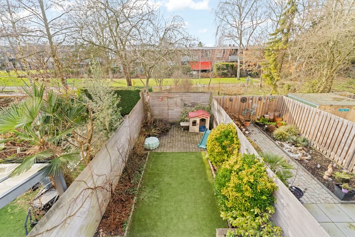 Foto 4 van Akkerdistel 13