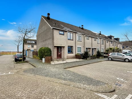 Esther de Boer-van Rijkstraat thumbnail