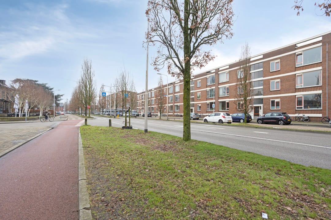 Foto 31 van Marialaan 151