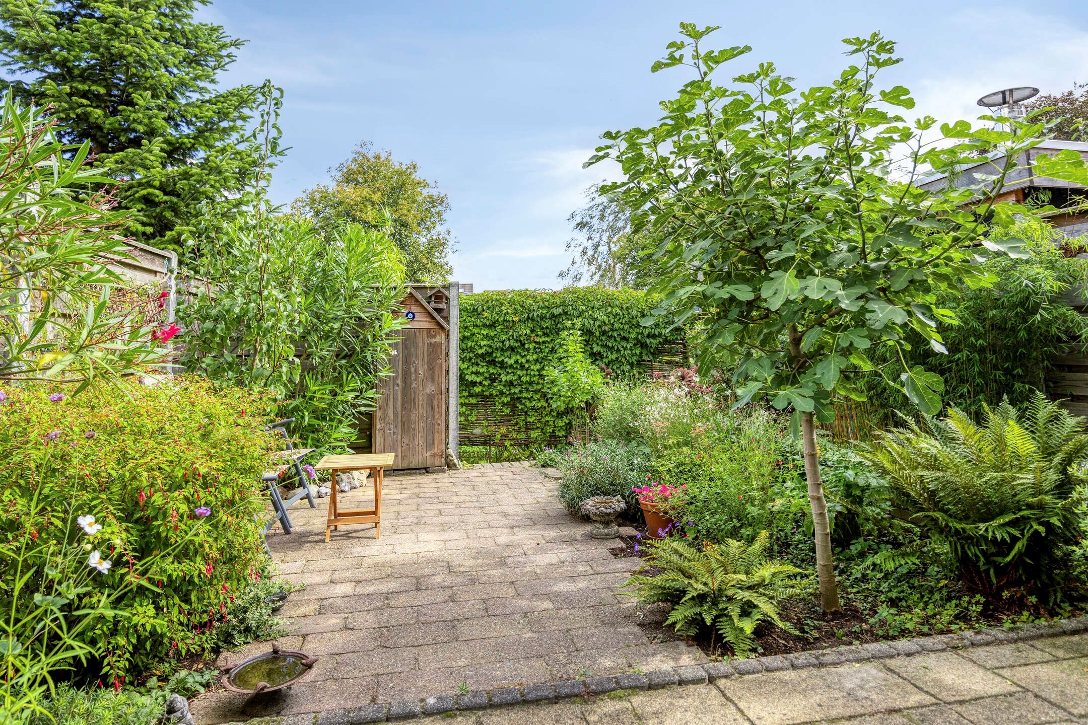 Foto 30 van Waterhoen 39