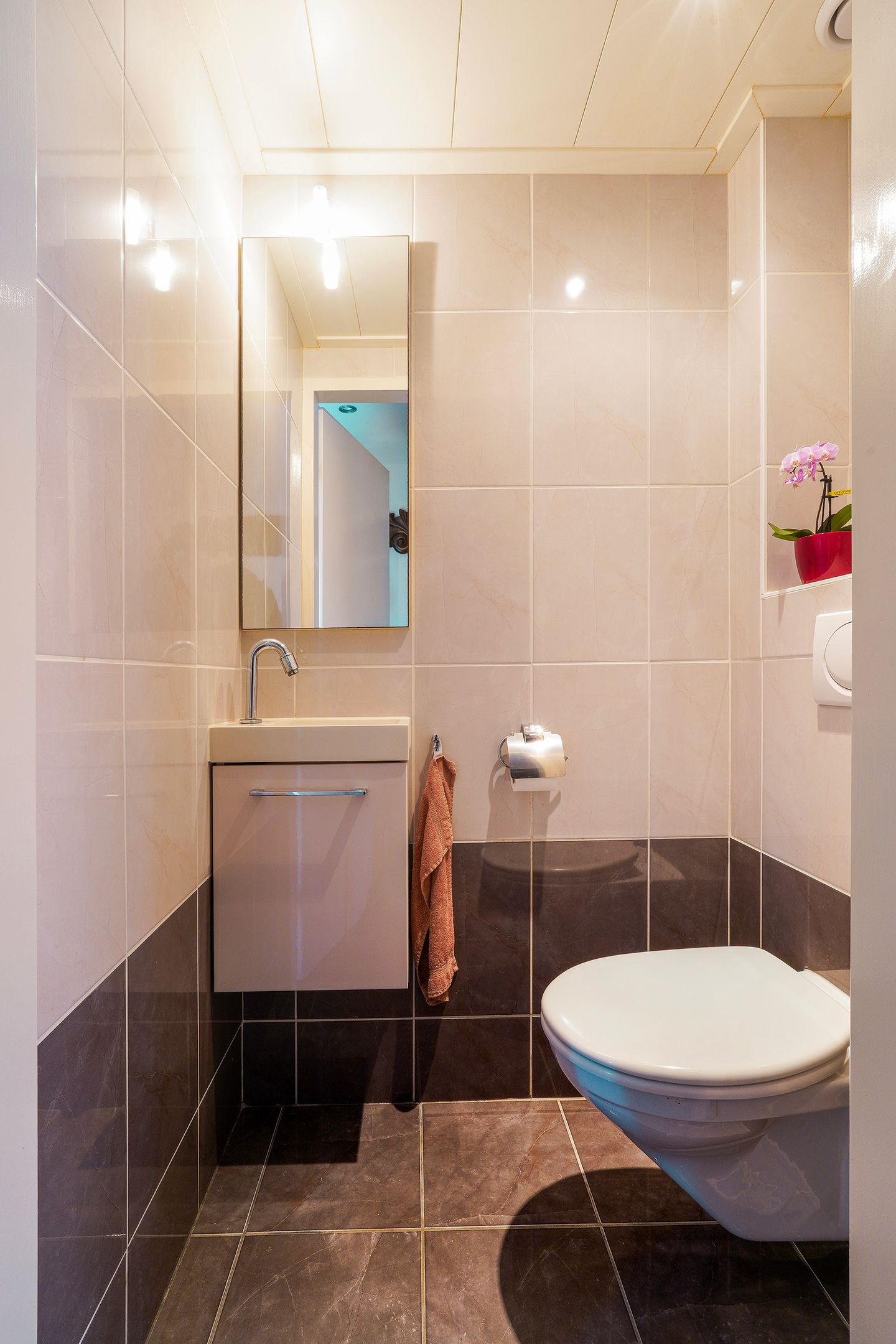 Foto 14 van 't Seuverick 37