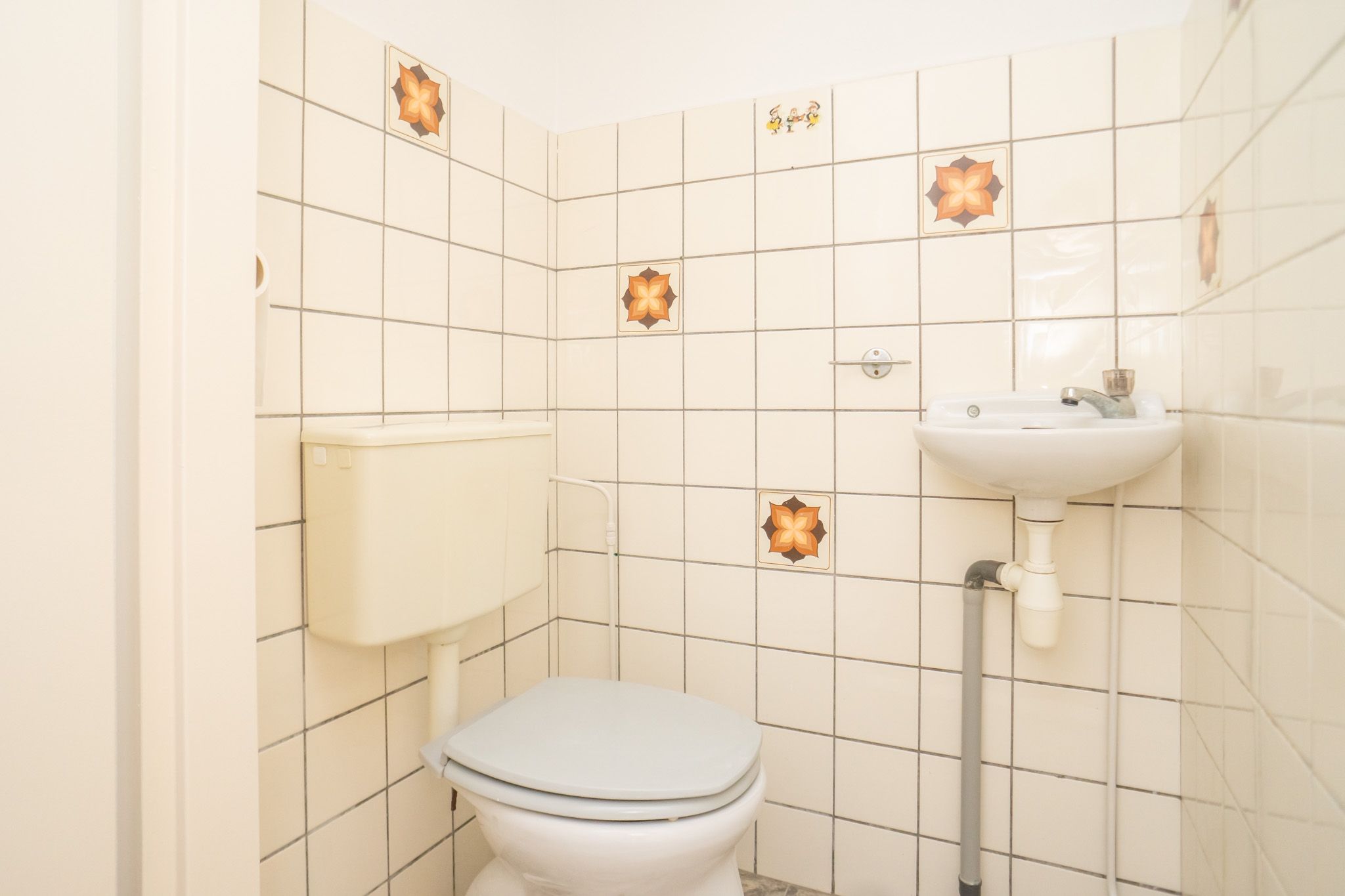 Foto 12 van Fresiahof 8