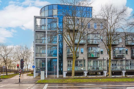 undefined main image